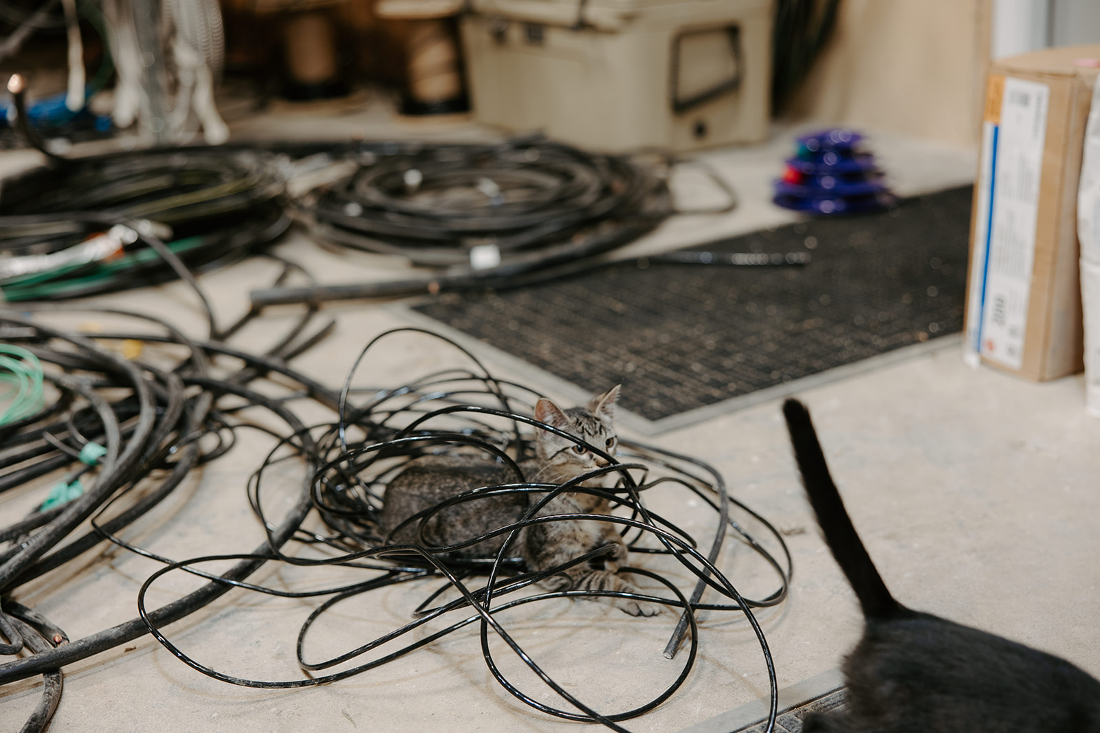 Wires-1
